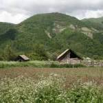 Село Цру, Джавский район РЮО