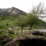 с.Згубир, Джавский район РЮО