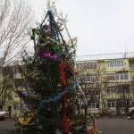Новогодние елки в Цхинвале