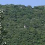 Живописные уголки Южной Осетии. Зонкар