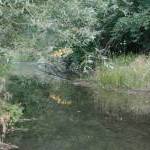 Живописные уголки Южной Осетии. Зонкар