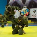 vidnoe24.ru
