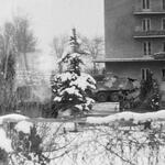 Военные организовали базу на территории туристической базы 