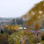 Уходящая осень в Цхинвале в фотоленте «Реса» 